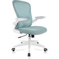 Black Ergonomic Office Chair with Lumbar Support V546