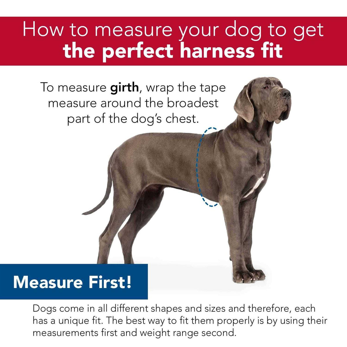 Canvas Dog Harness L10826