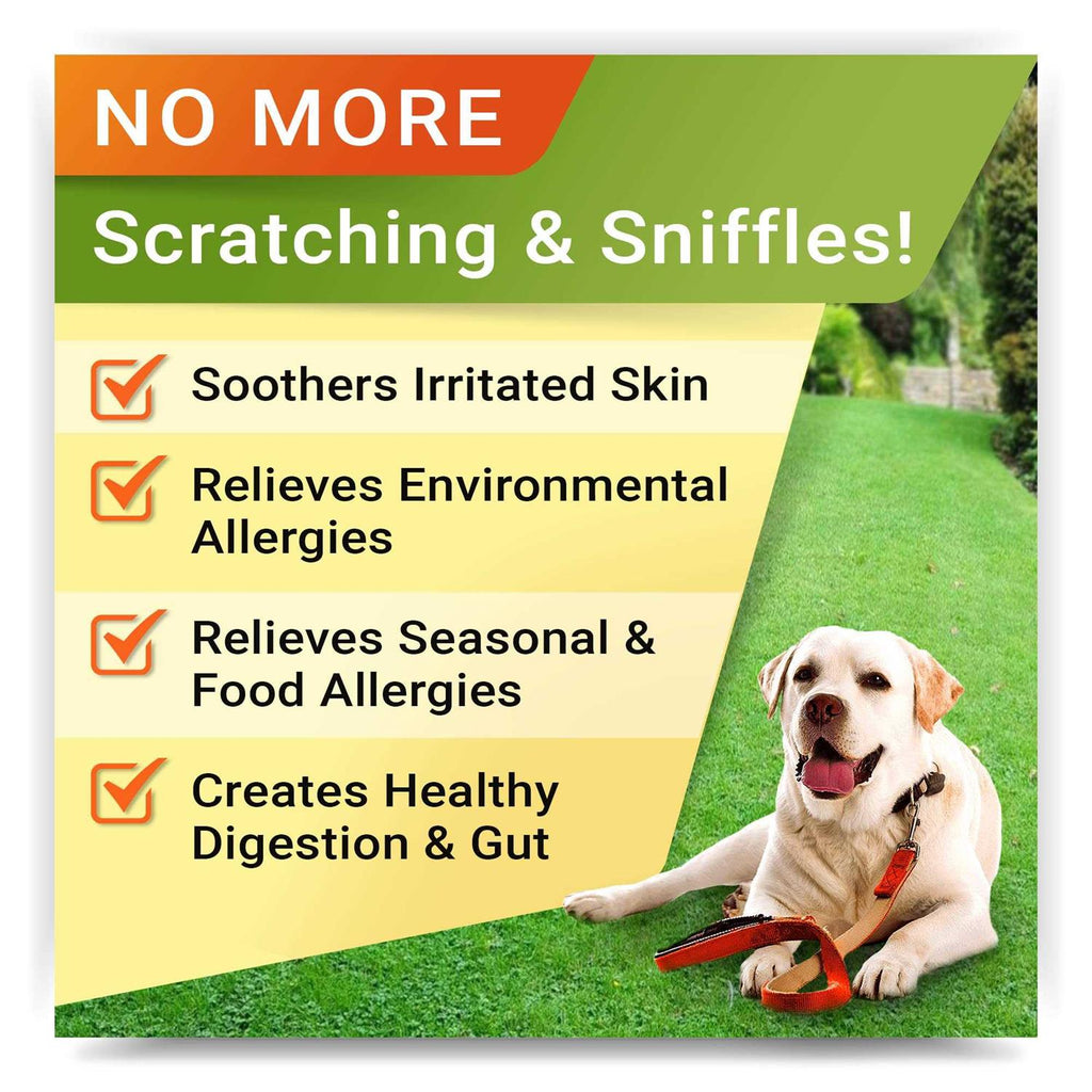 Allergy Relief T8337
