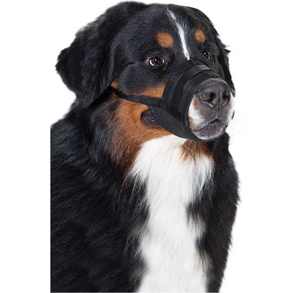 Dog Muzzle M3635