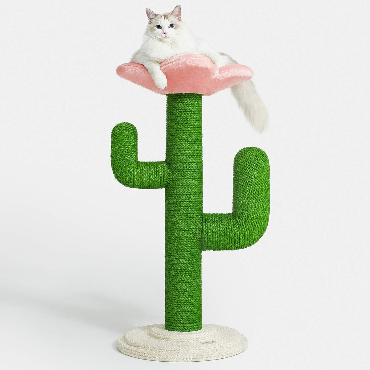 Cat Cactus Scratching Post with Natural Sisal Rope W50037