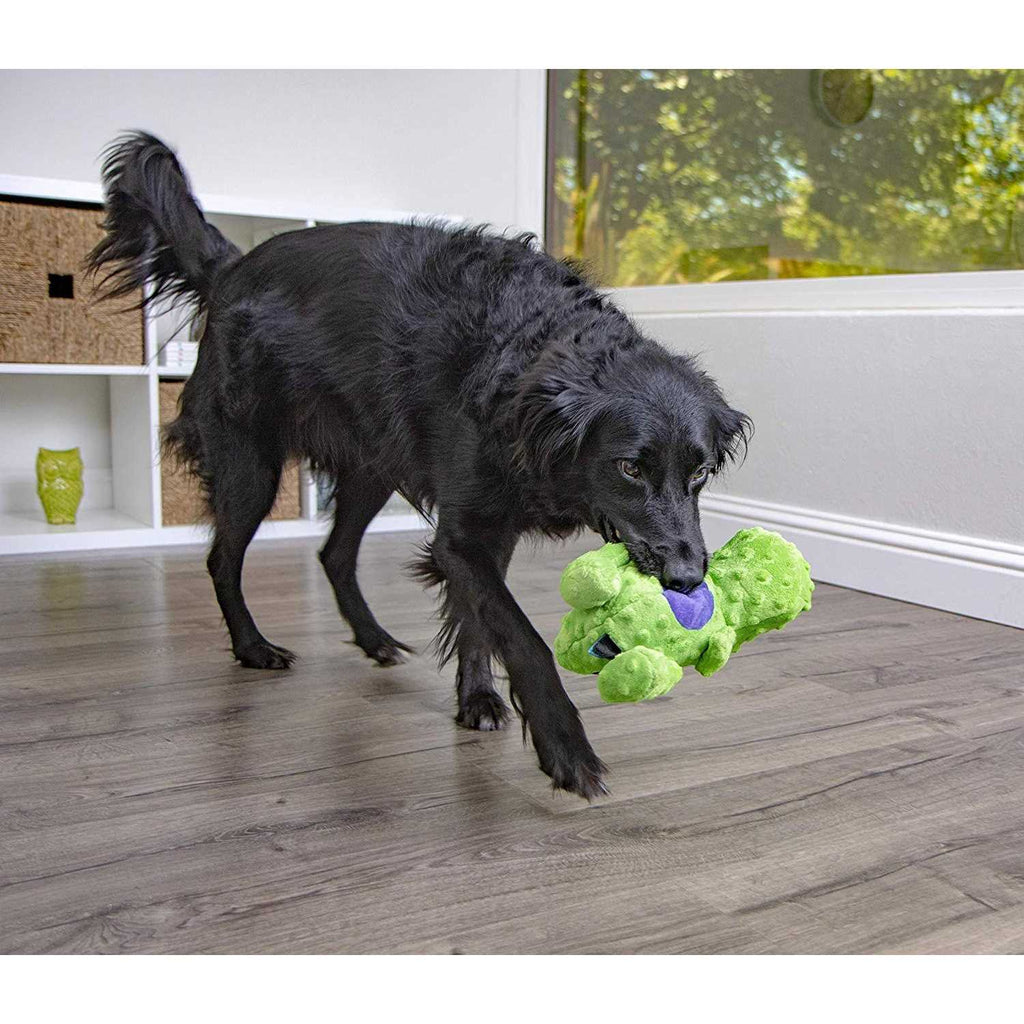 Dog Toy B771964