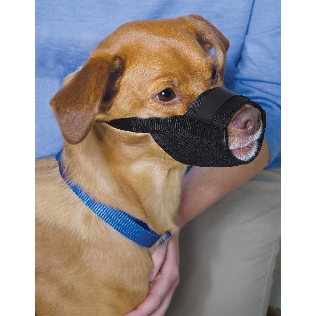 Dog Muzzle M3635