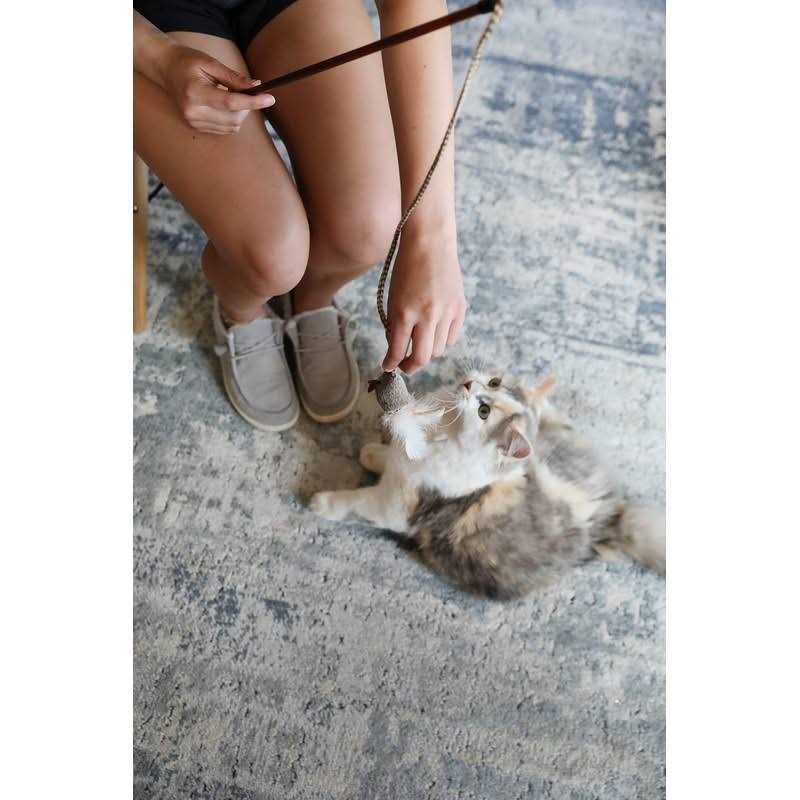Cat Toy X1990