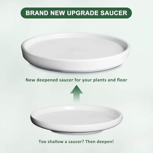 Gray White 8 Inch Ceramic Plant Pot with Drainage and Saucer U13723