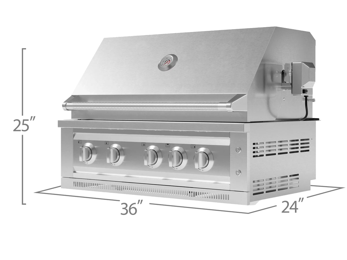 Propane Grill E975696