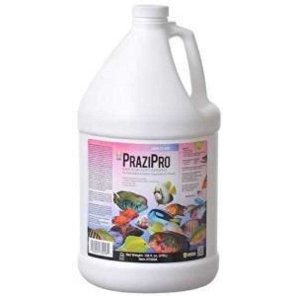 PraziPro X64130