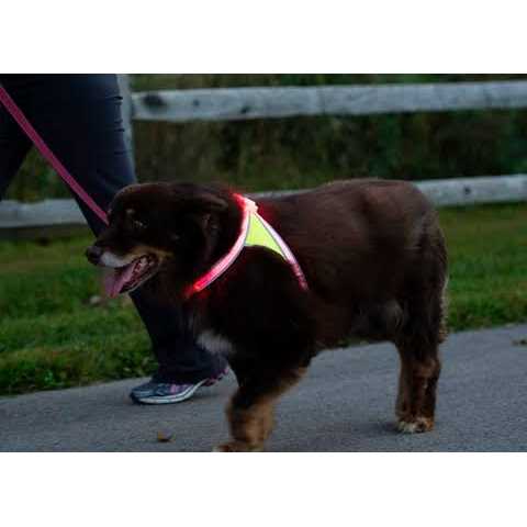 LED Reflective Dog Harness L625
