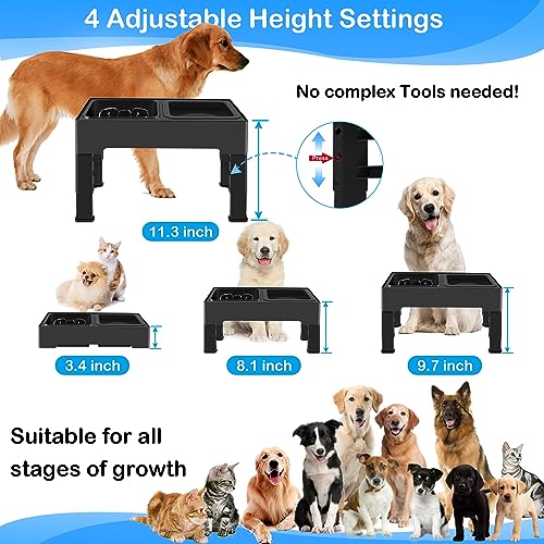 2-in-1 Elevated Slow Feeder Dog Bowls with Non-Skid Silicone Mat M366