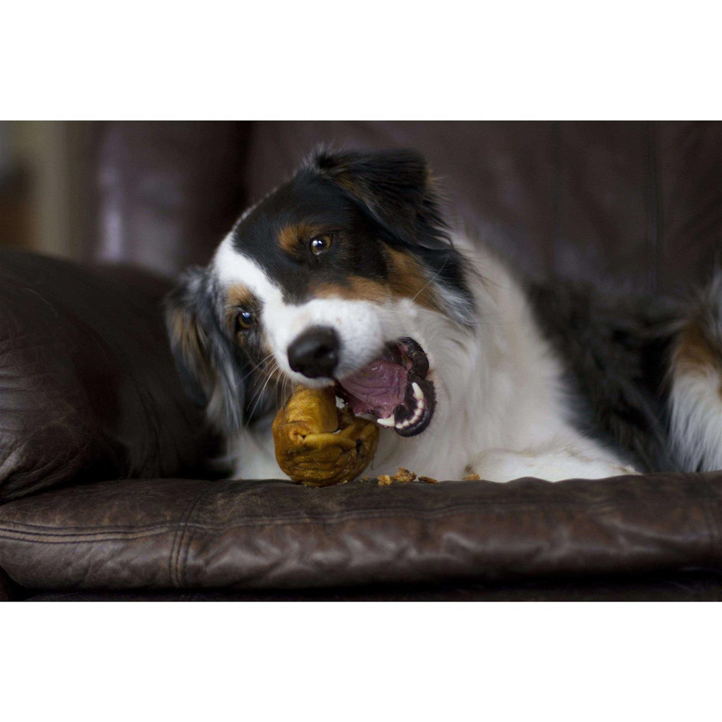Dog Treats Q31419