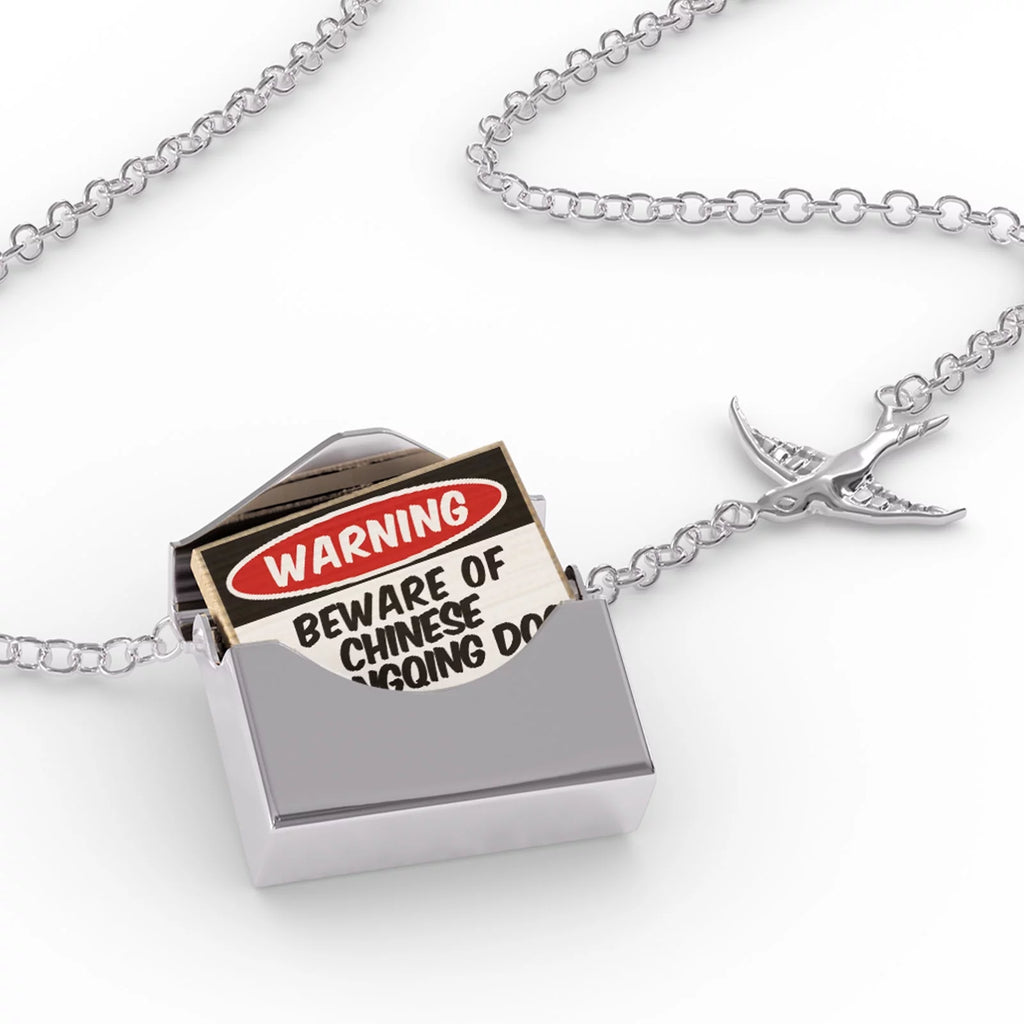 Silver Locket Necklace A824158