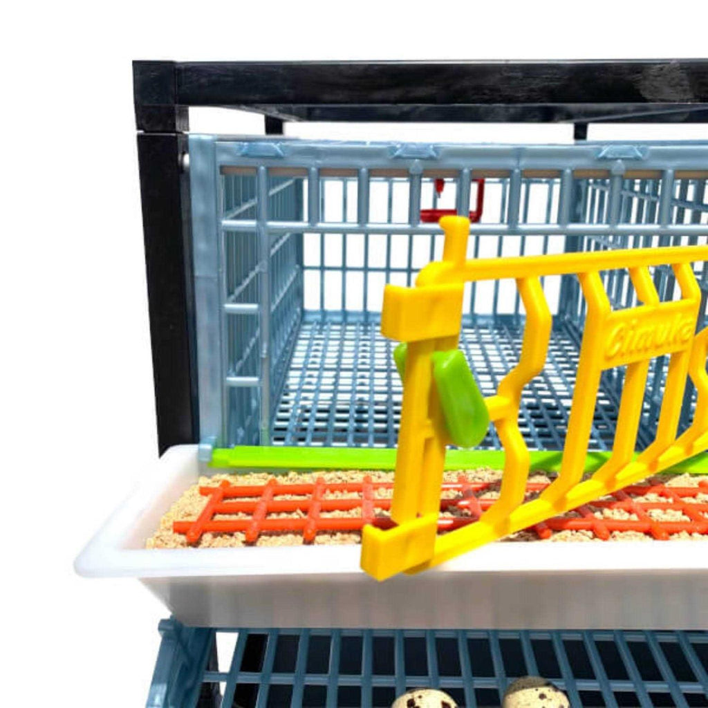 Partridge Cage 1 Layer Z2483