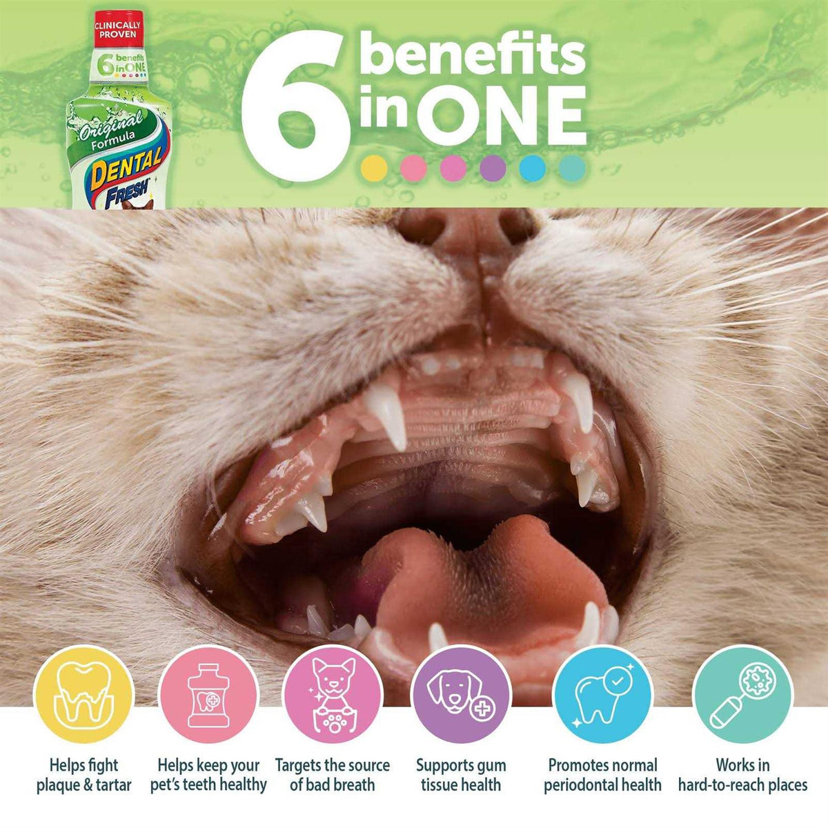 Water Additive for Cats H494