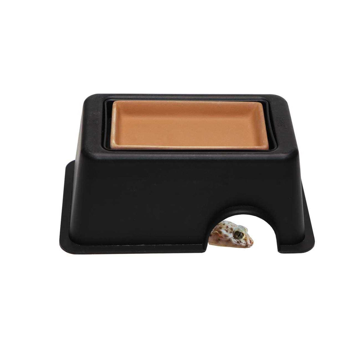 Reptile Hide Box with Sink Basin V3006