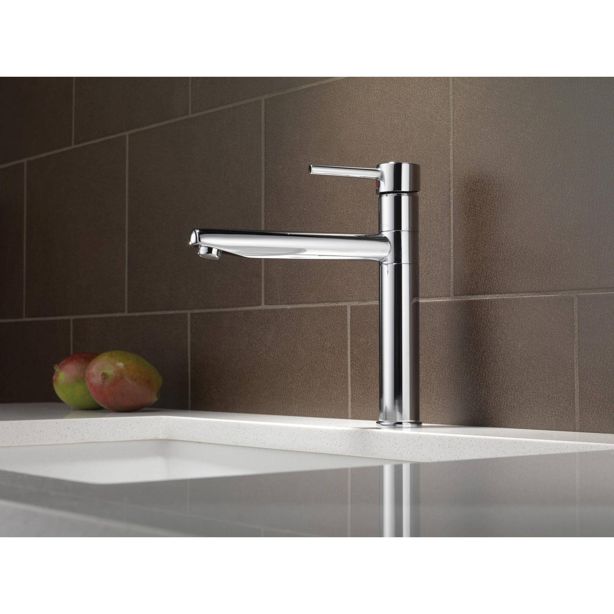 Arctic Stainless Single Handle Kitchen Faucet E816809