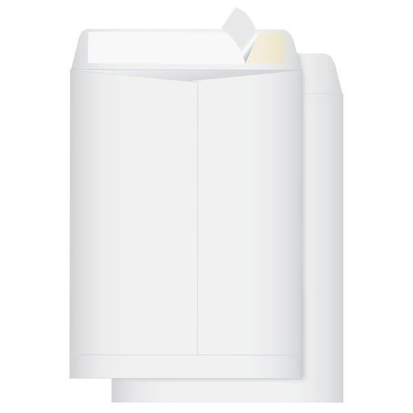 Catalog Envelopes N1804