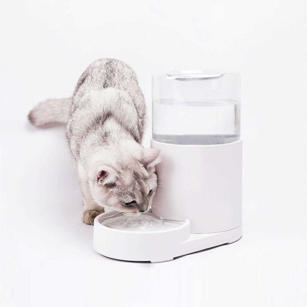 Automatic Pet Water Dispenser 3 Liter O26162