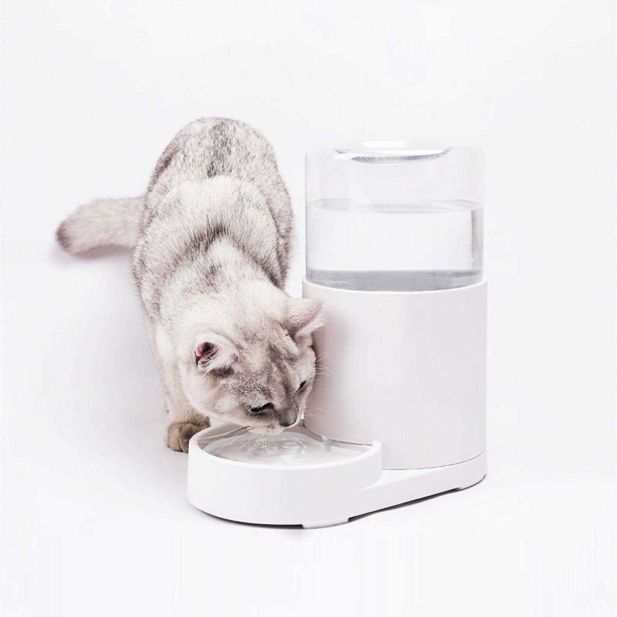Automatic Pet Water Dispenser 3 Liter O26162