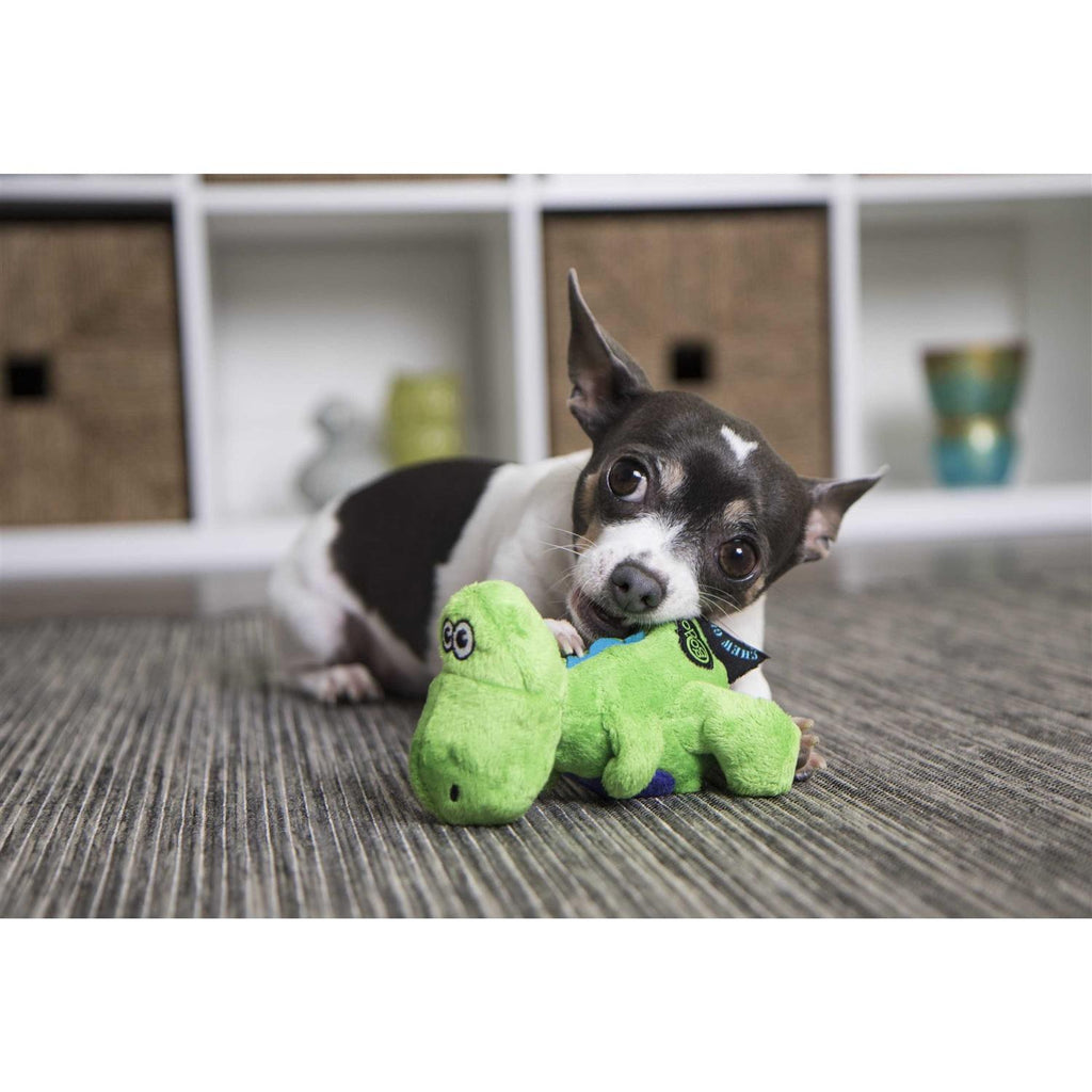 Dog Toy B771964