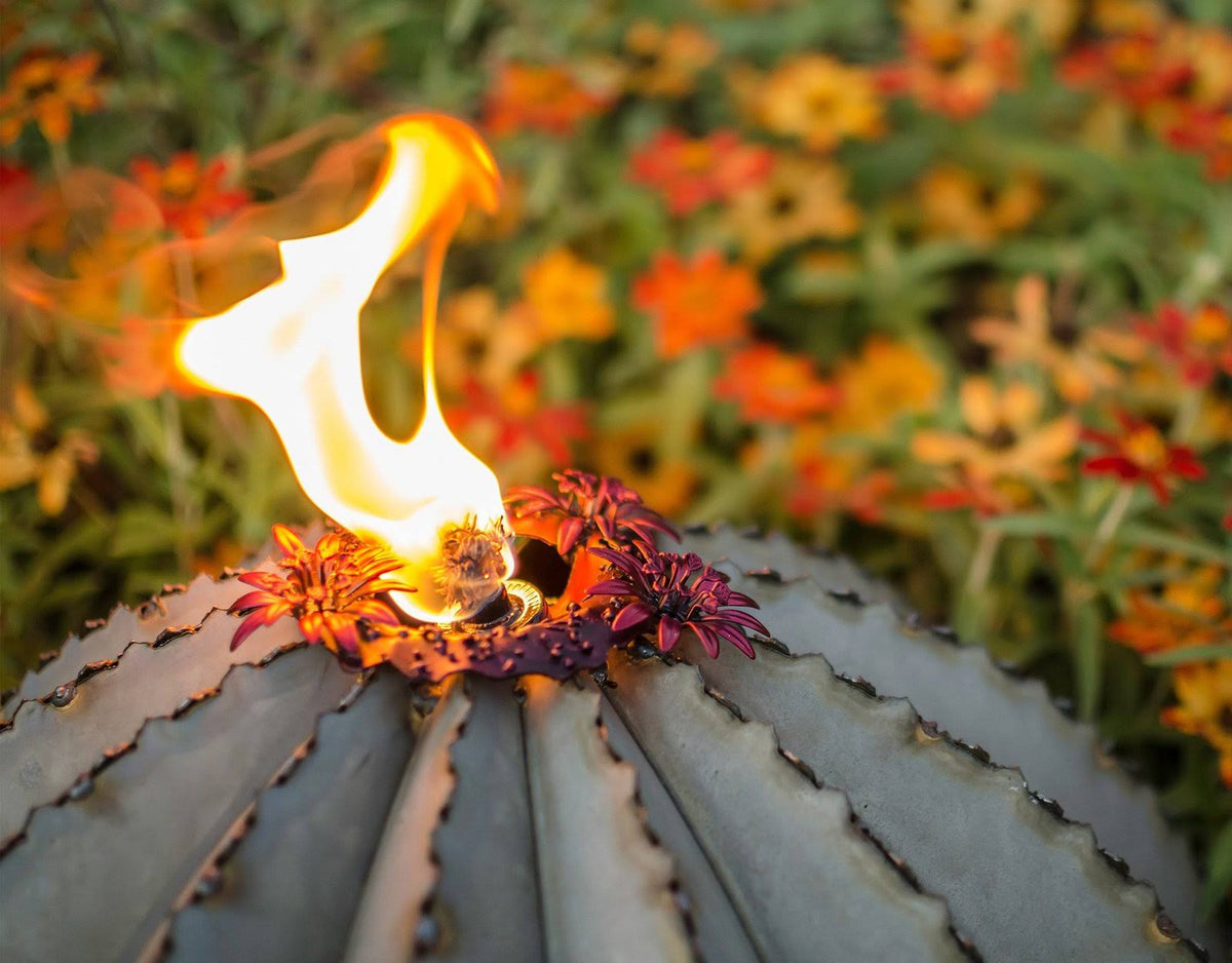 Golden Barrel Cactus Torch W7329