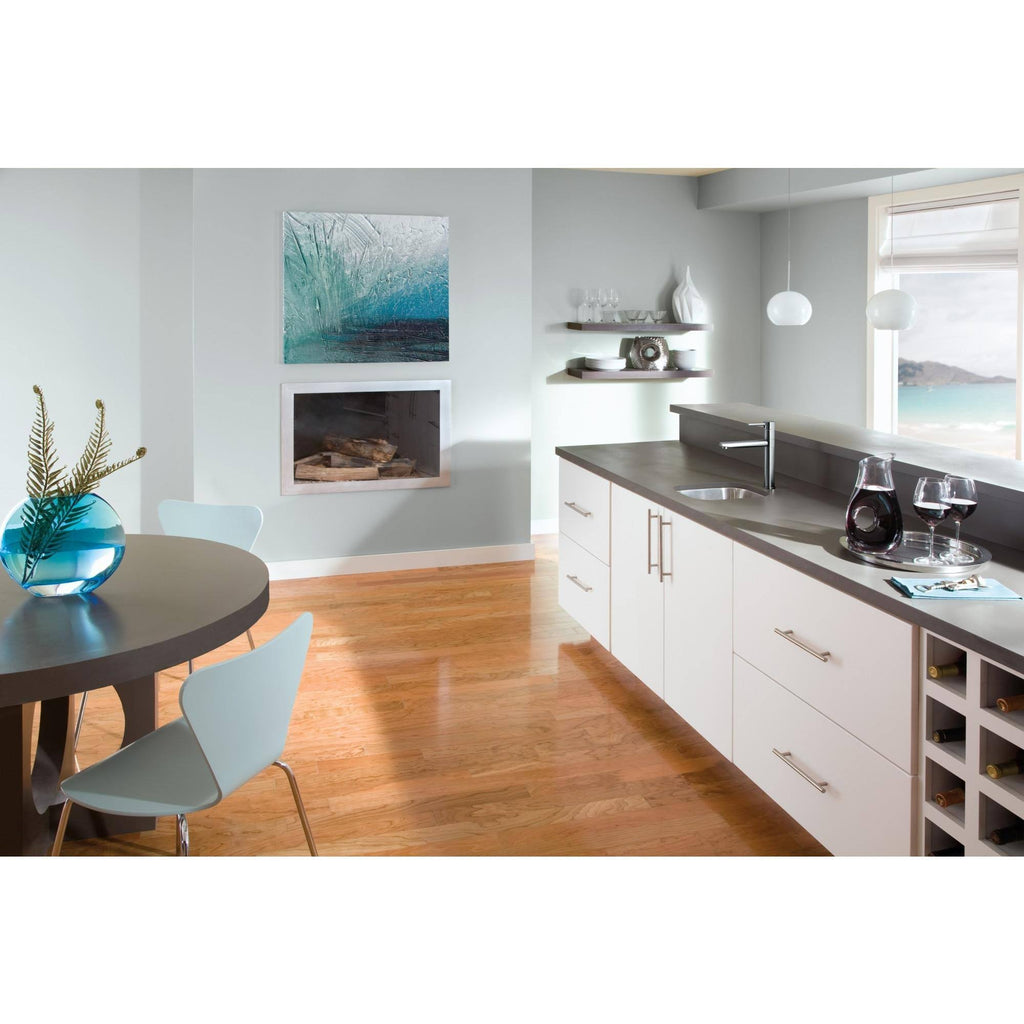 Arctic Stainless Single Handle Kitchen Faucet E816809