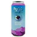 Blackberry Mint Organic Energy Water (Pack of 12) X181249