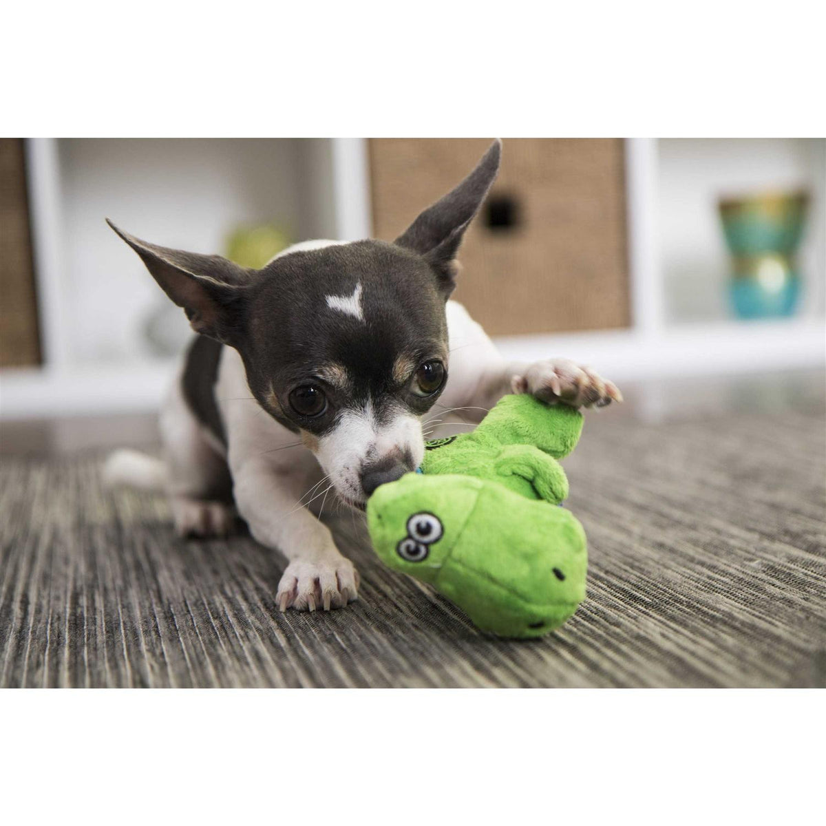 Dog Toy B771964