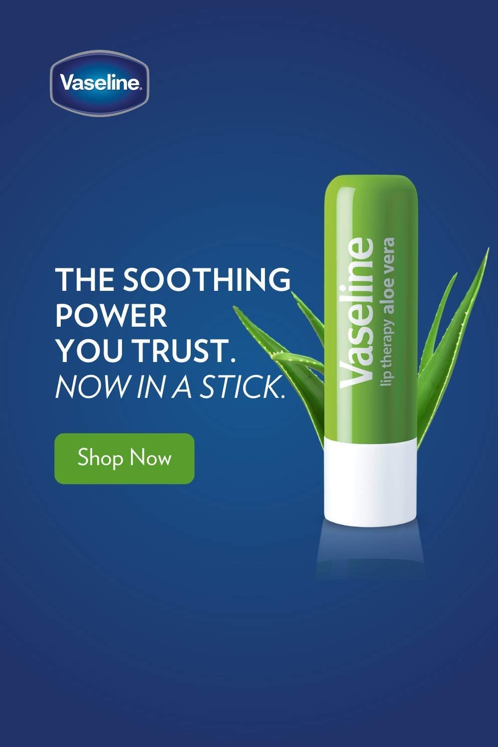 Lip Therapy Stick with Petroleum Jelly (Aloe Vera, Pack of 2) R22874