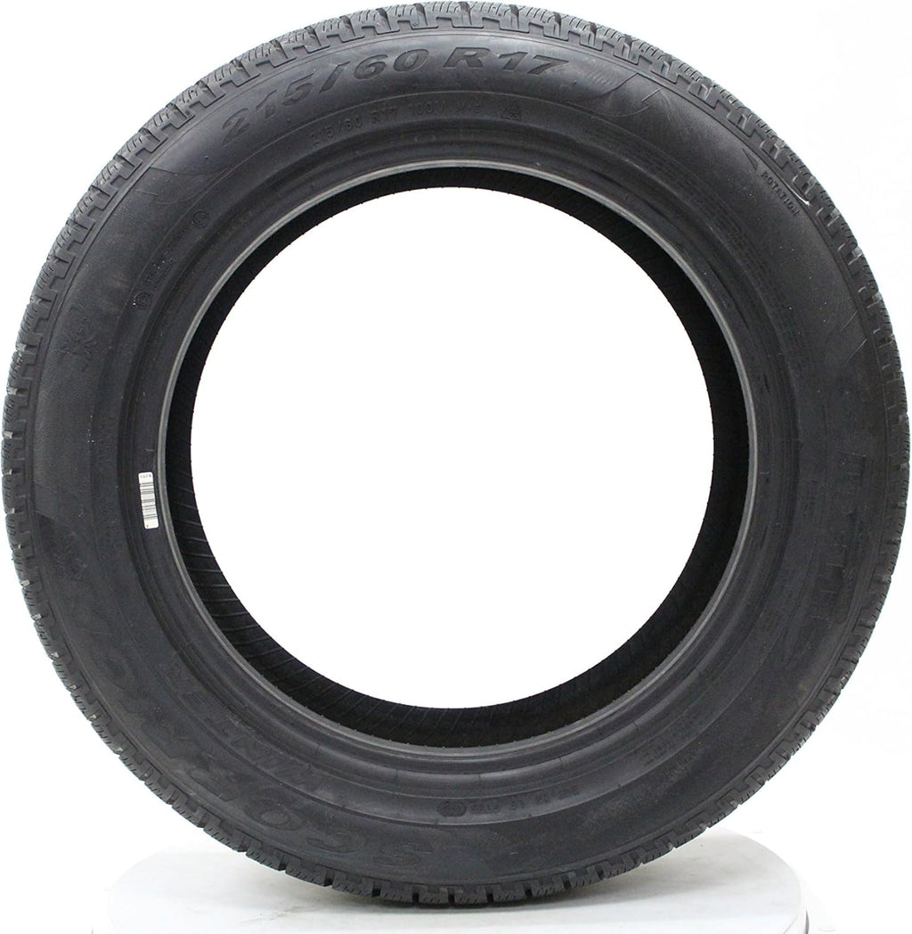 315/35R20 110V XL Winter Tire D604149
