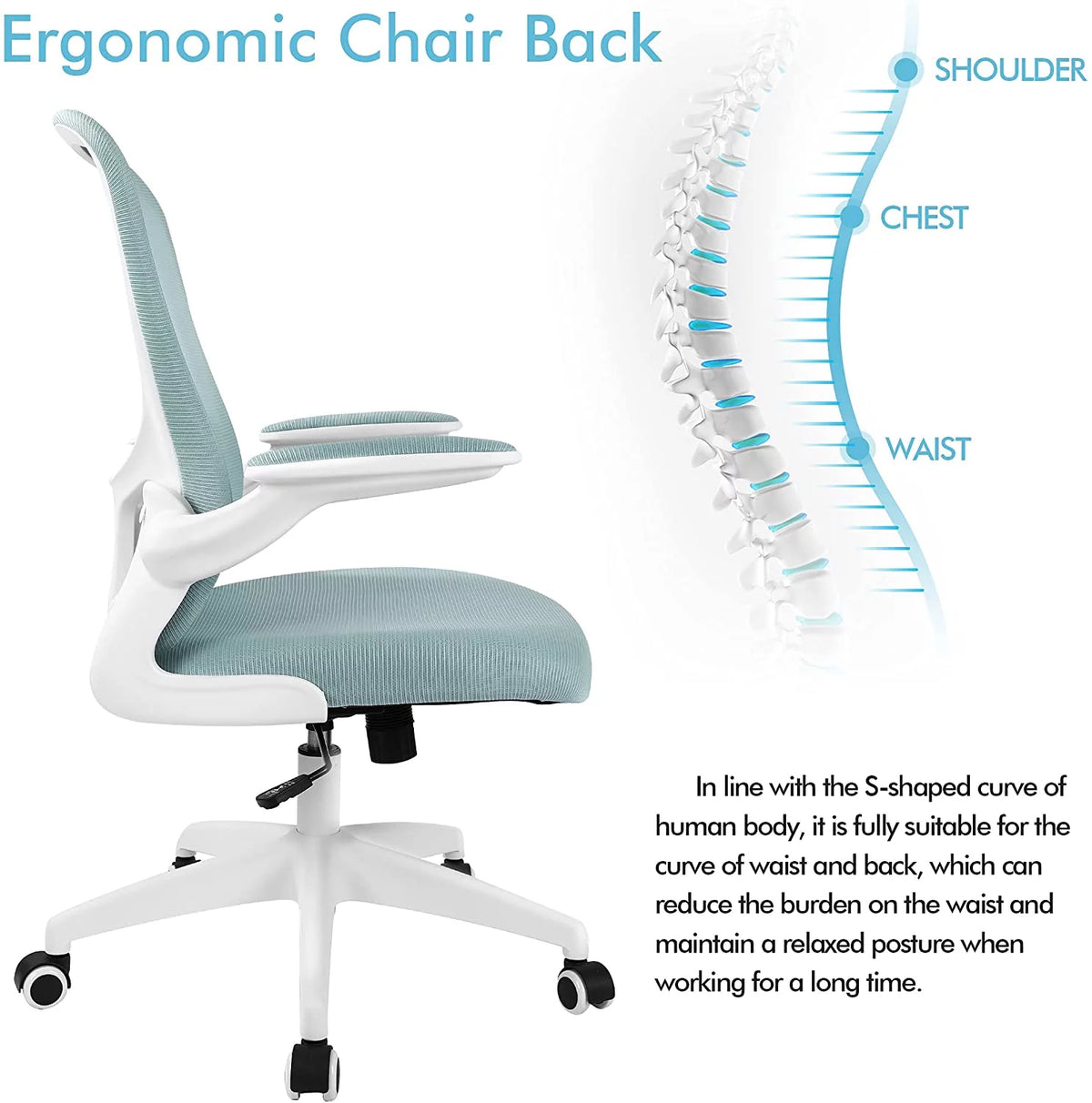 Black Ergonomic Office Chair with Lumbar Support V546