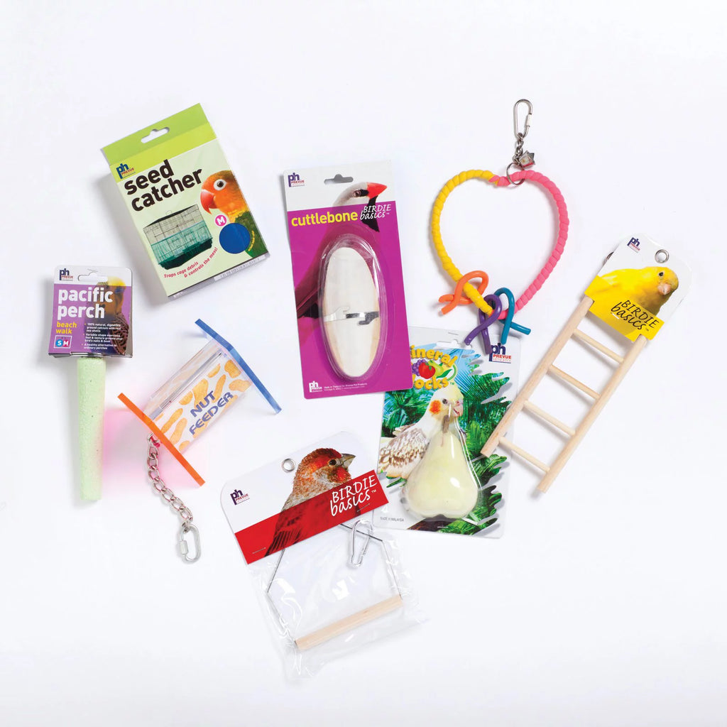 Blue & Black Bird Cage Starter Kit Q708