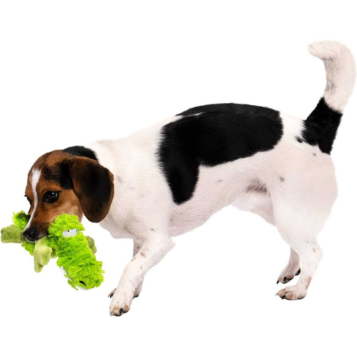 Dog Toy B439