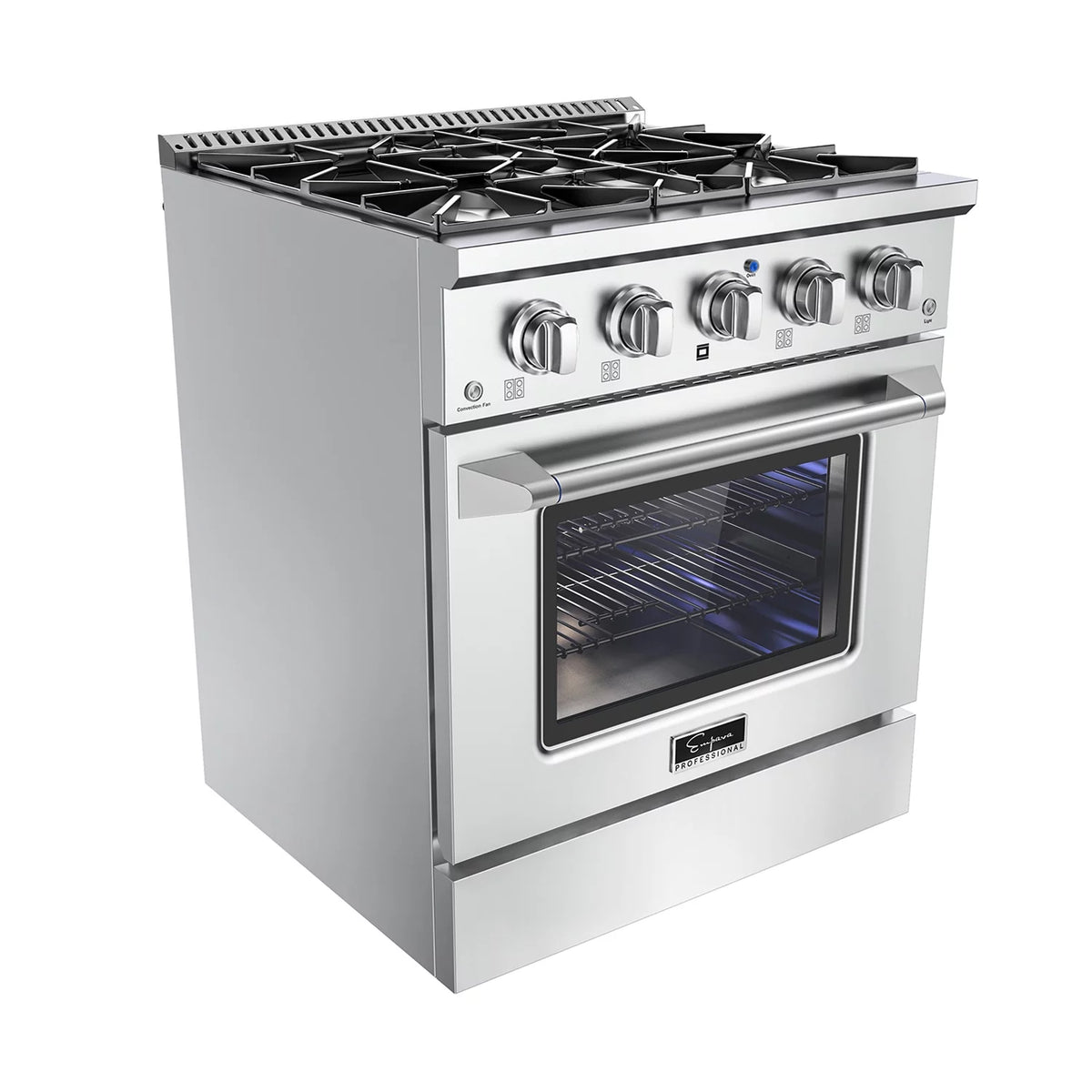 30 in. 4.2 cu. ft. Slide-In Single Oven Gas Range with 4 Sealed Burners Stainless Steel F88205
