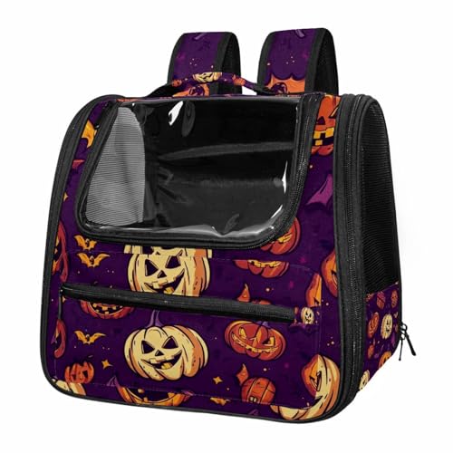 Airline Approved Pet Carrier Bag O20576