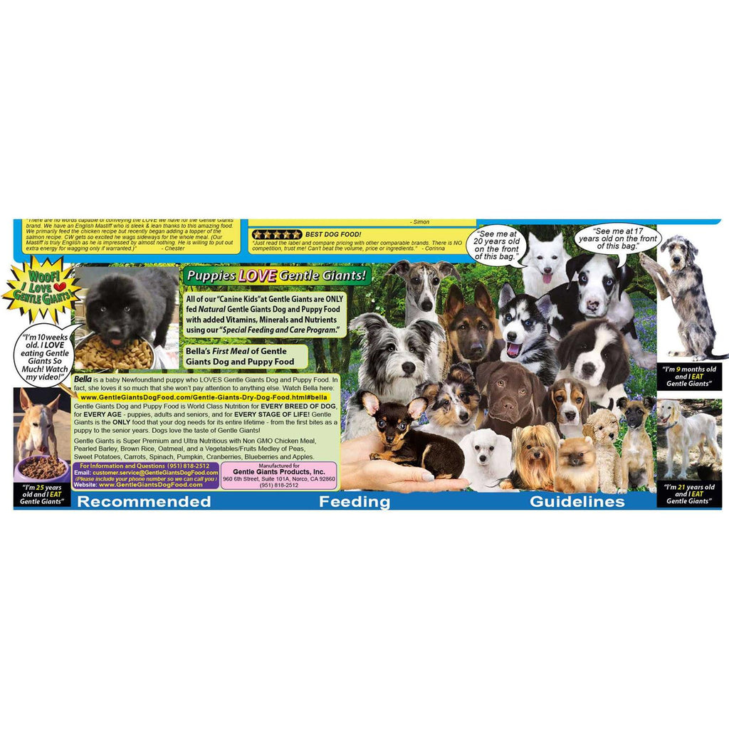 Chicken Dry Dog Food Y9757