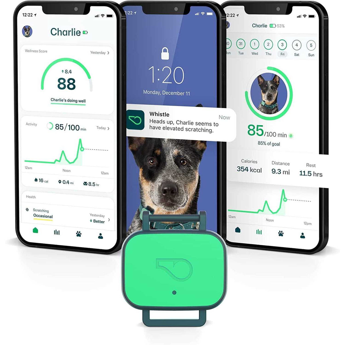 Dog Health & Fitness Tracker Smart Device N772