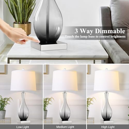 Touch Control 3-Way Dimmable Glass Table Lamps Set of 2 with USB C and A Charging Ports Y29070