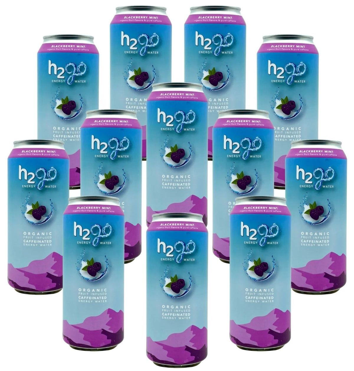 Blackberry Mint Organic Energy Water (Pack of 12) X181249