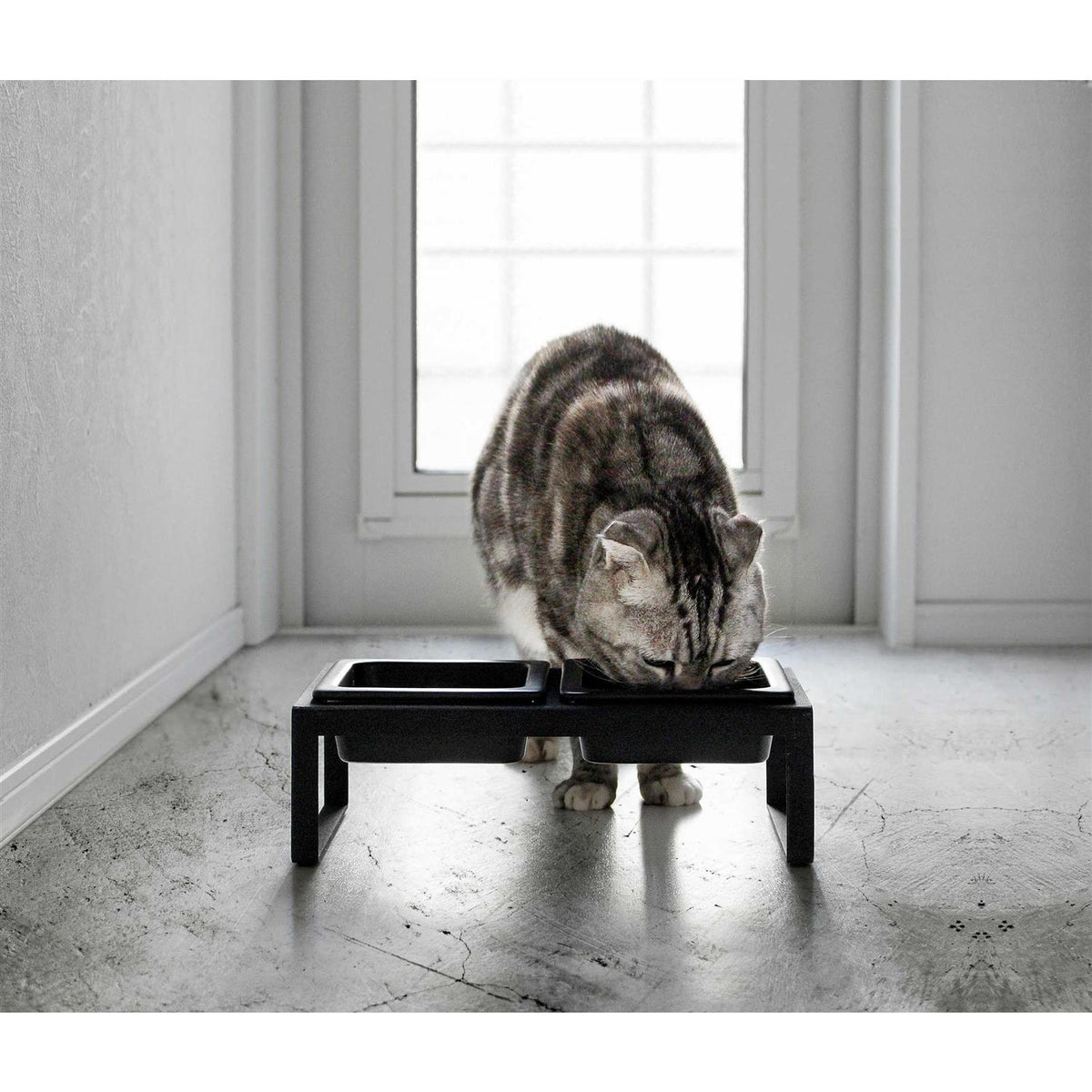 Pet Food Bowl N735908