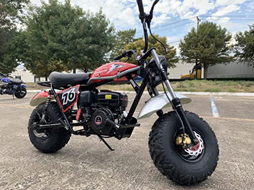196cc Mini Bike with Front and Rear Brakes U854