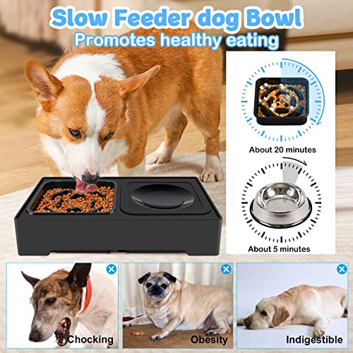 2-in-1 Elevated Slow Feeder Dog Bowls with Non-Skid Silicone Mat M366