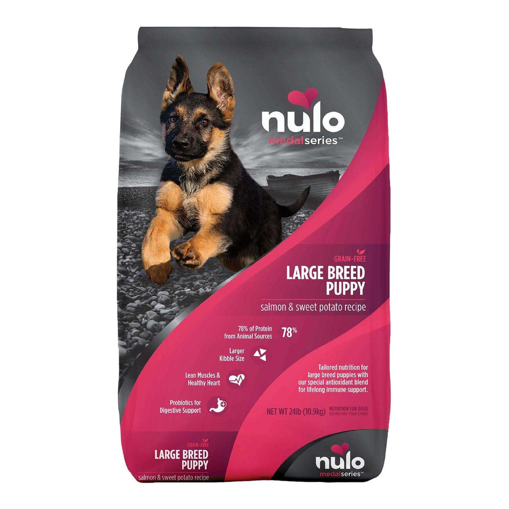 Salmon Large Breed Puppy Dry Dog Food N89775