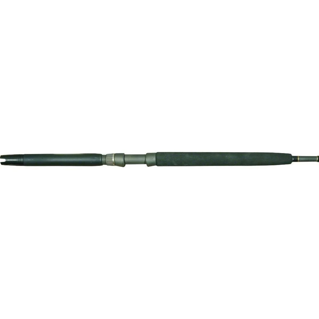 Inshore Casting Rod P659993