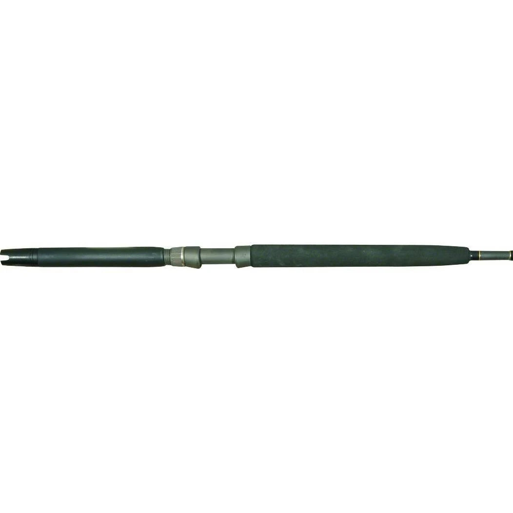 Inshore Casting Rod P659993