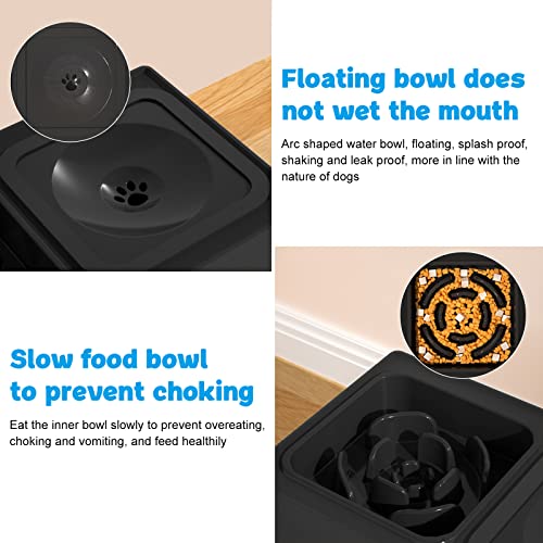 2-in-1 Elevated Slow Feeder Dog Bowls with Non-Skid Silicone Mat M366