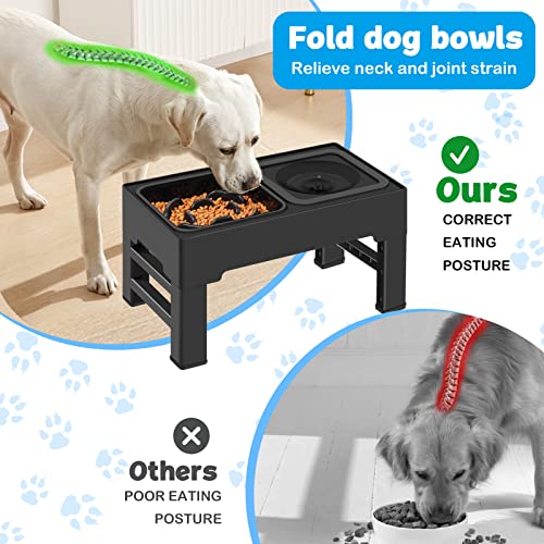 2-in-1 Elevated Slow Feeder Dog Bowls with Non-Skid Silicone Mat M366