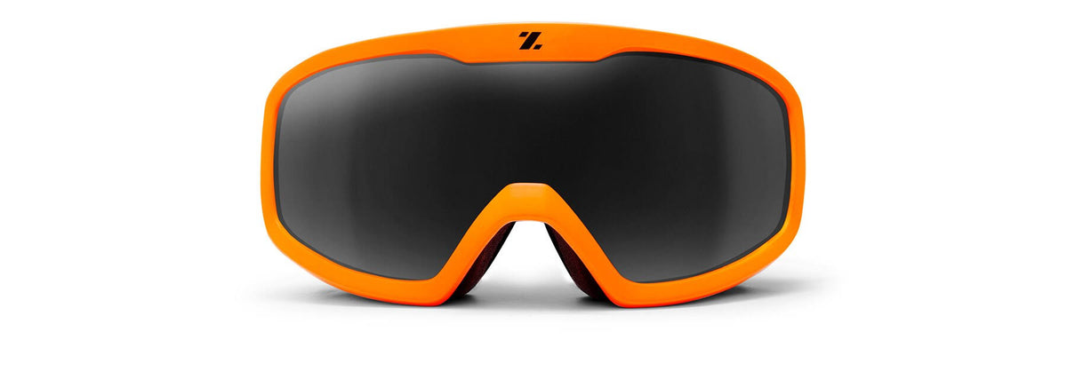 Ski & Snowboard Goggles L351