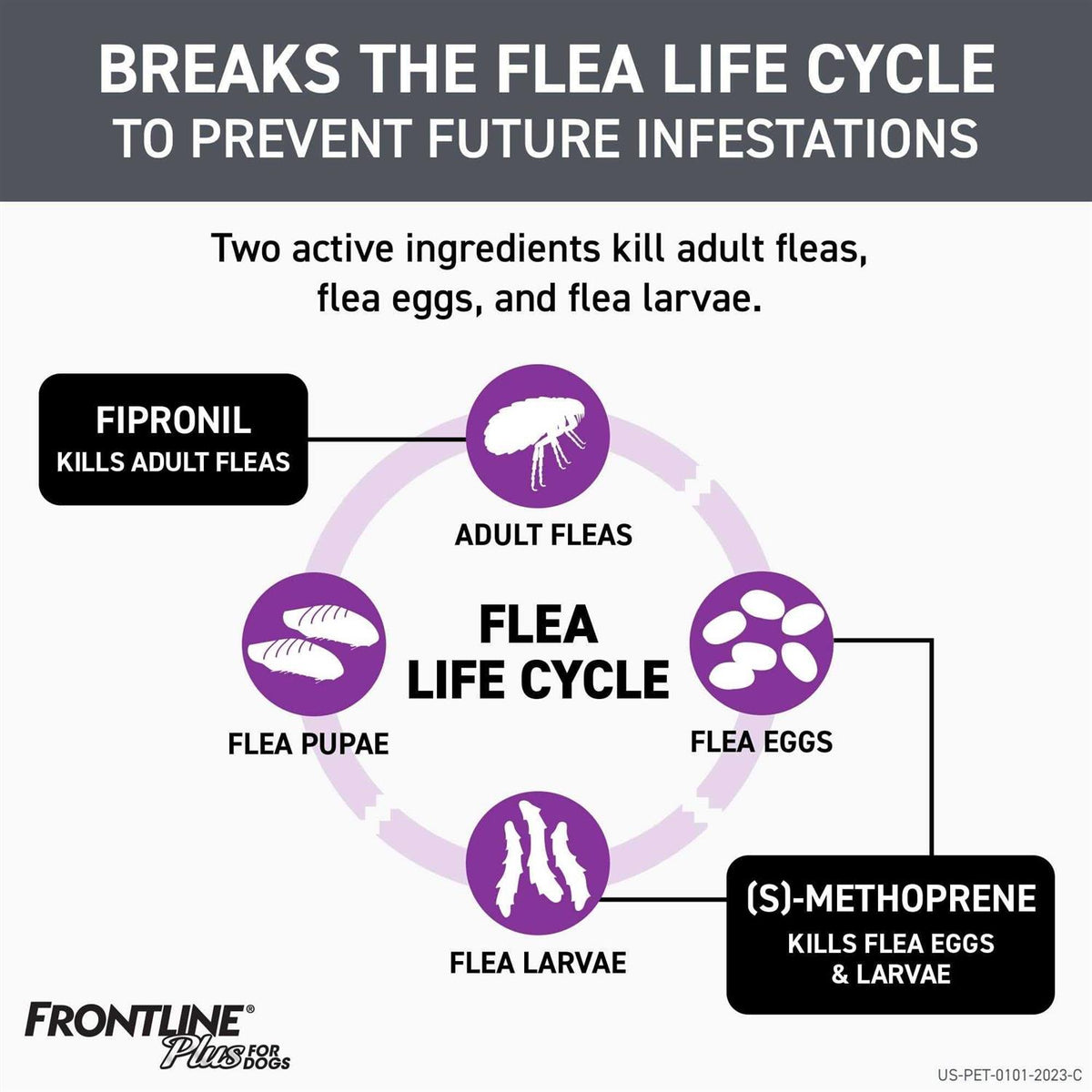 Flea and Tick for Dogs S580