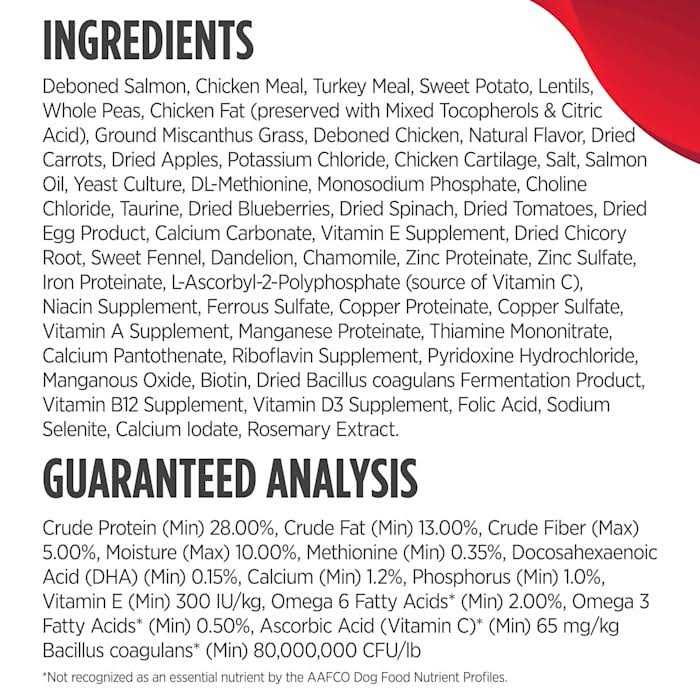 Salmon Large Breed Puppy Dry Dog Food N89775