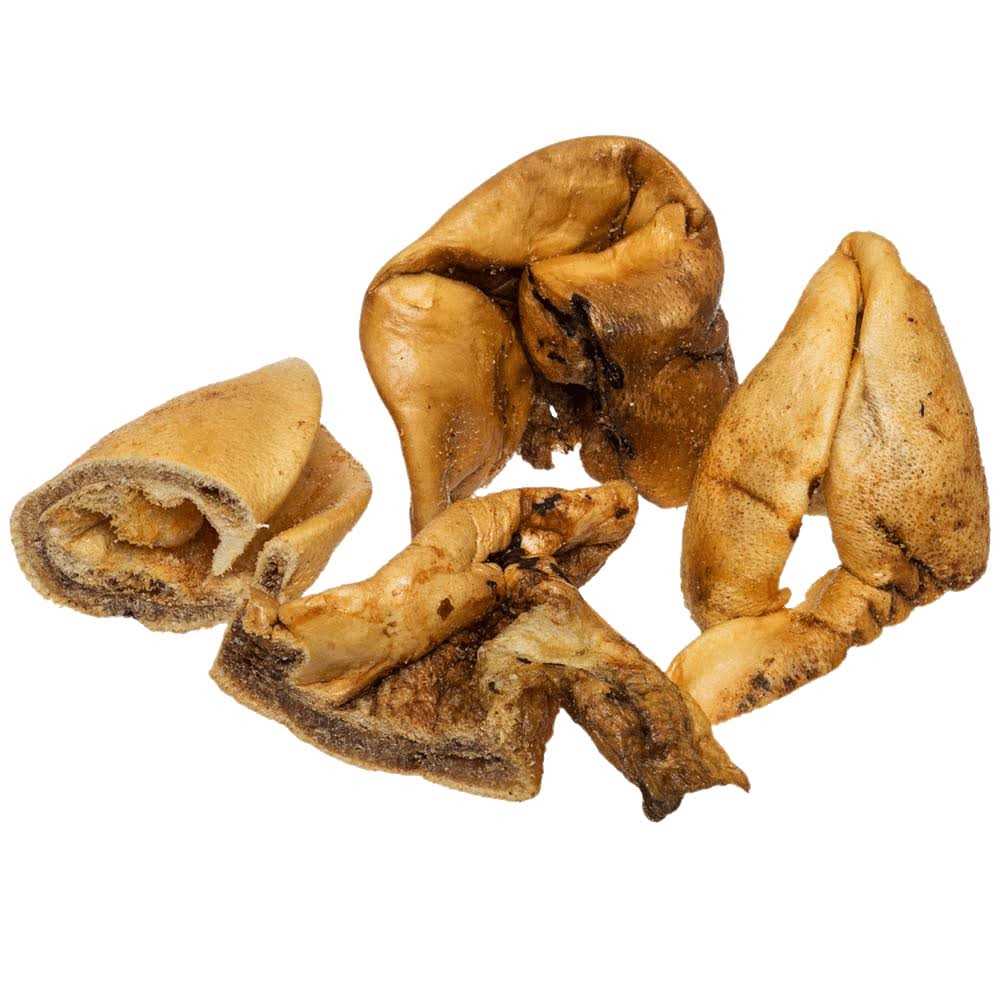 Dog Treats Q31419